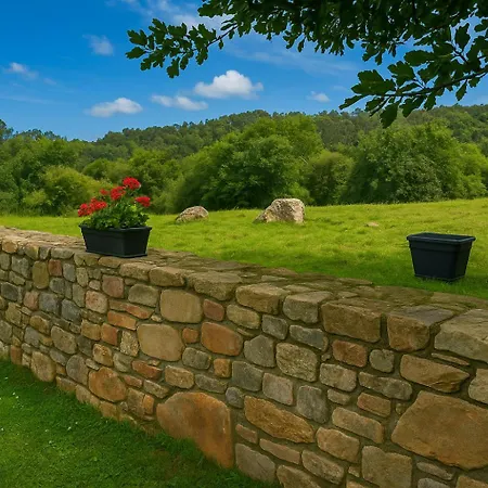 Laurel De Gulpiyuri De Llanes *