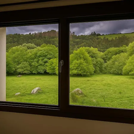 Laurel De Gulpiyuri De Llanes