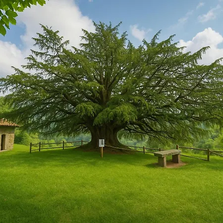 Dom wakacyjny Laurel De Gulpiyuri De Llanes